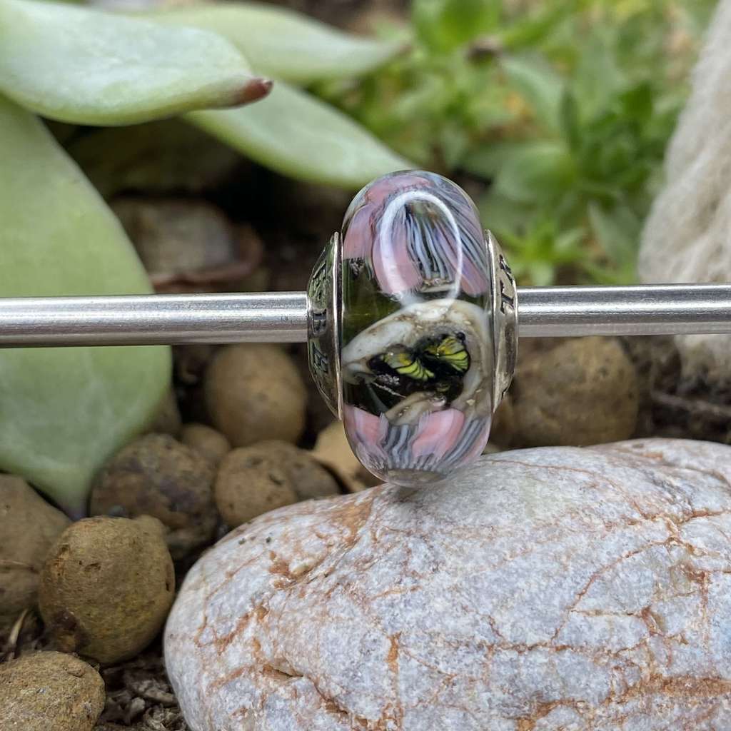 Fri AQUARIUM  7 butterfly