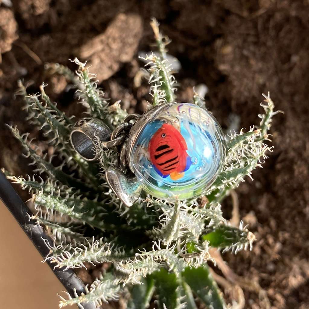 26 Saturday AQUARIUM dangle