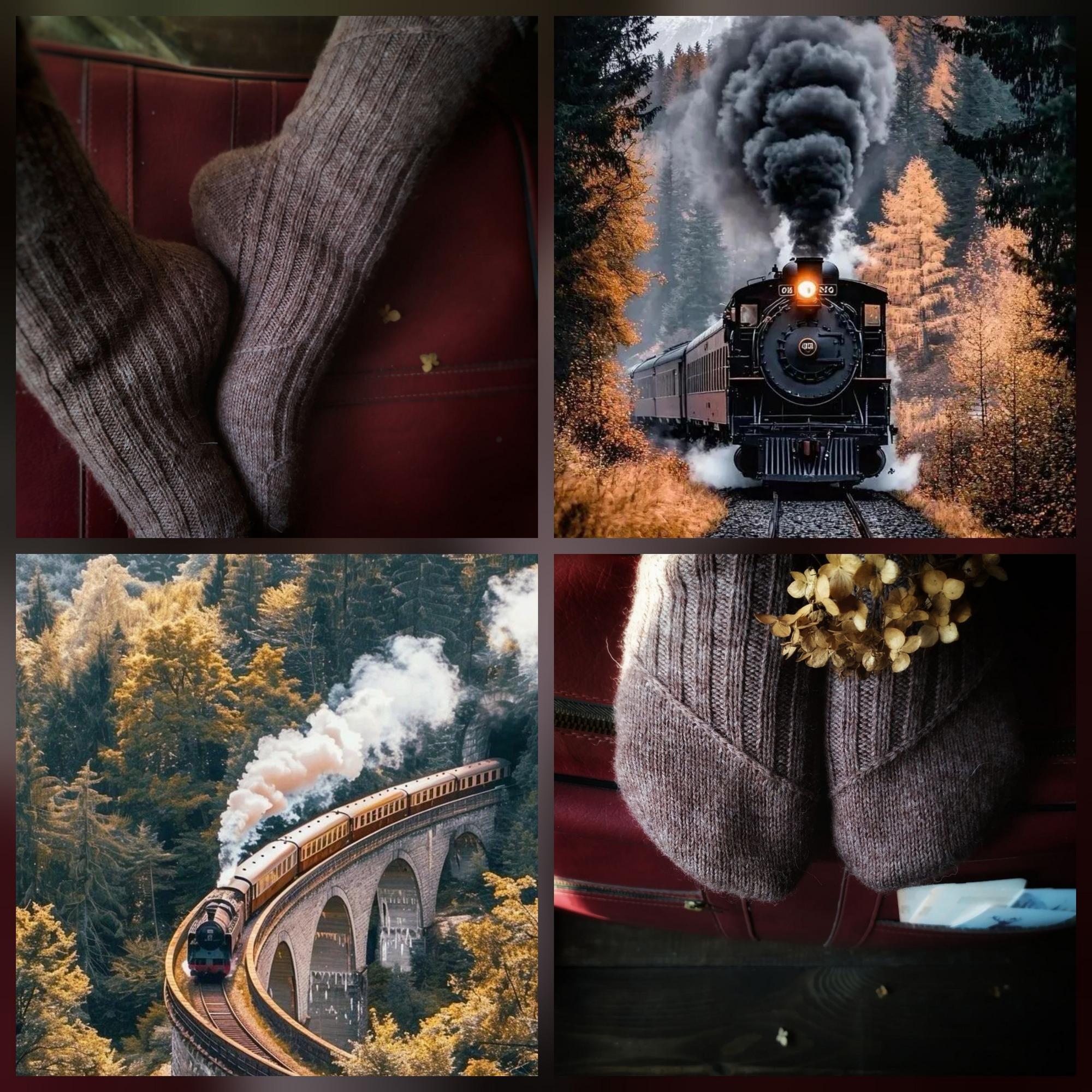 Описание Train Socks