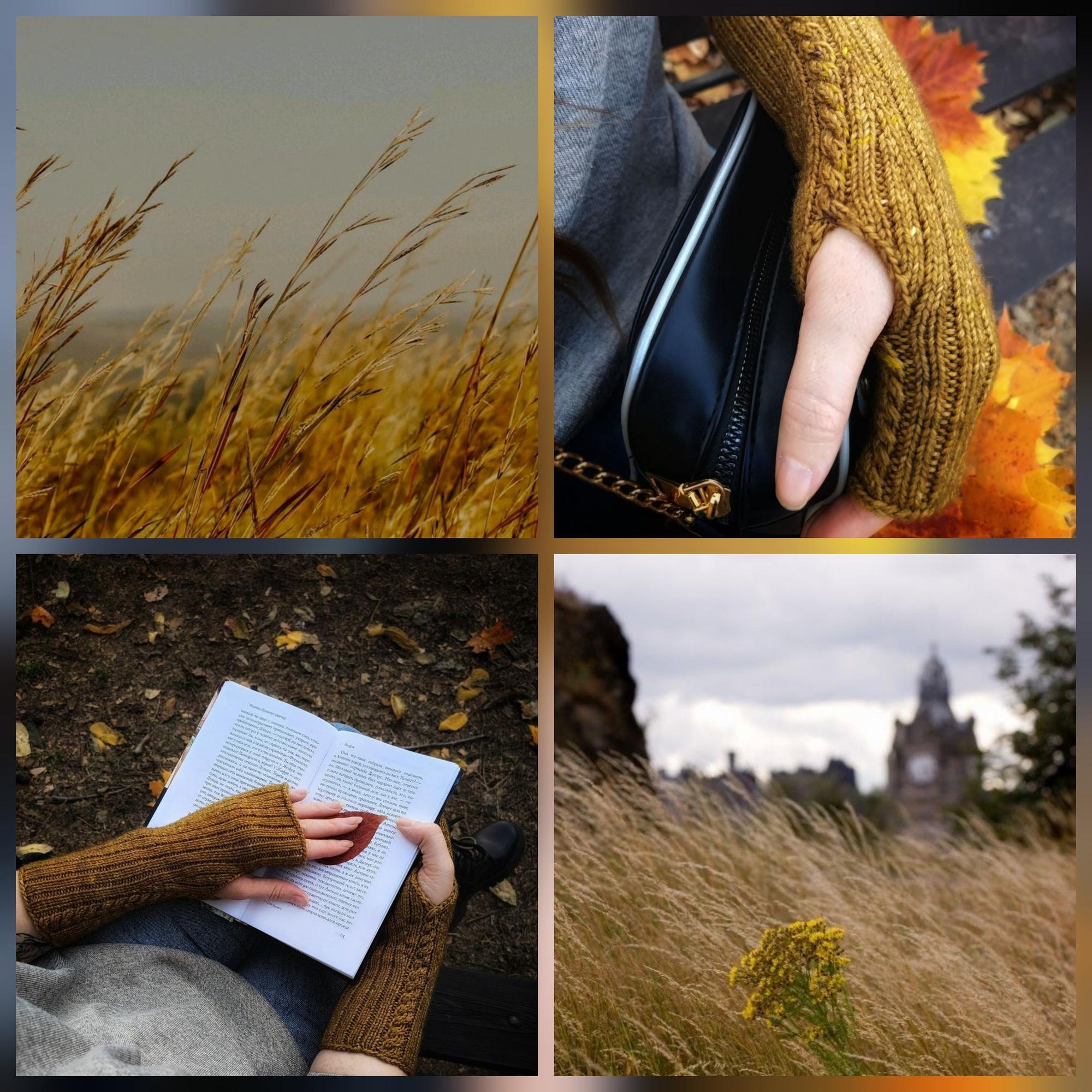 Описание Windy Weather Mitts