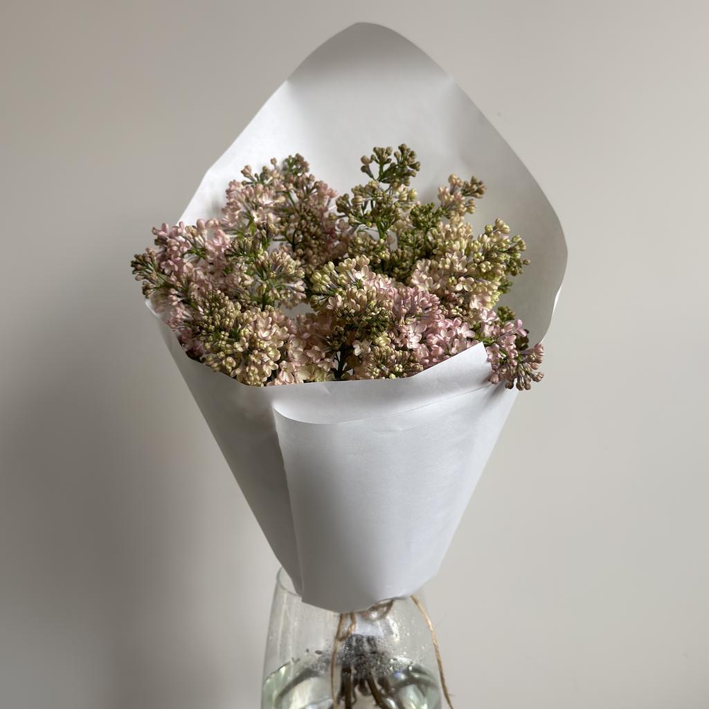 Букет из розовой серени