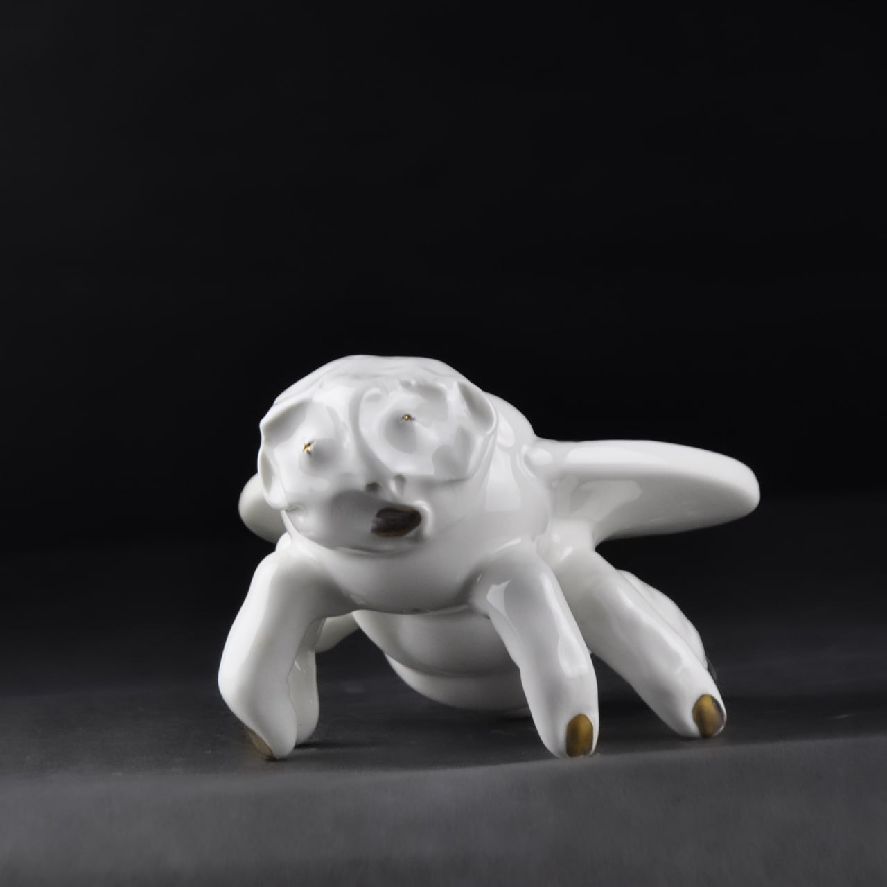 Муха удивленная