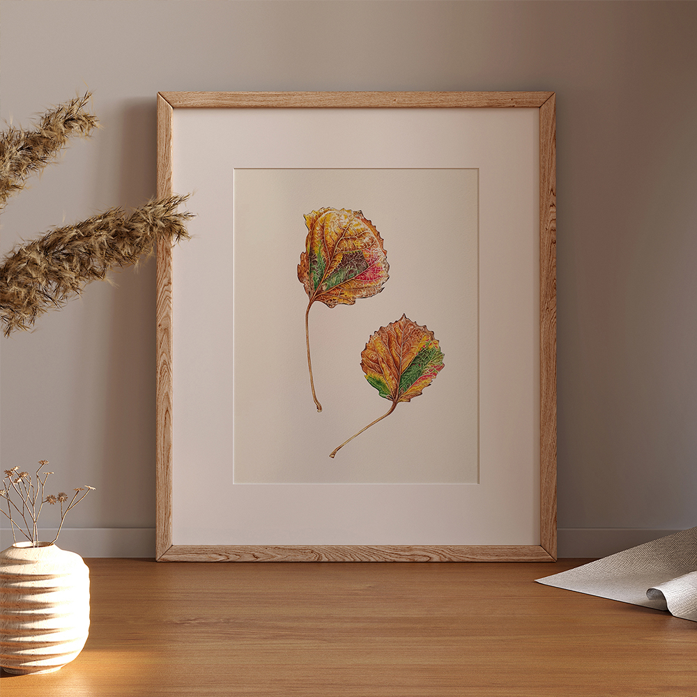 Листья осины