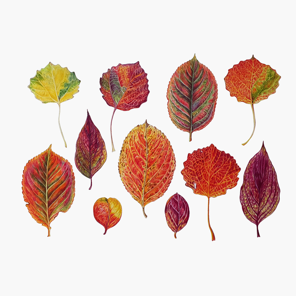 Листья. Принт