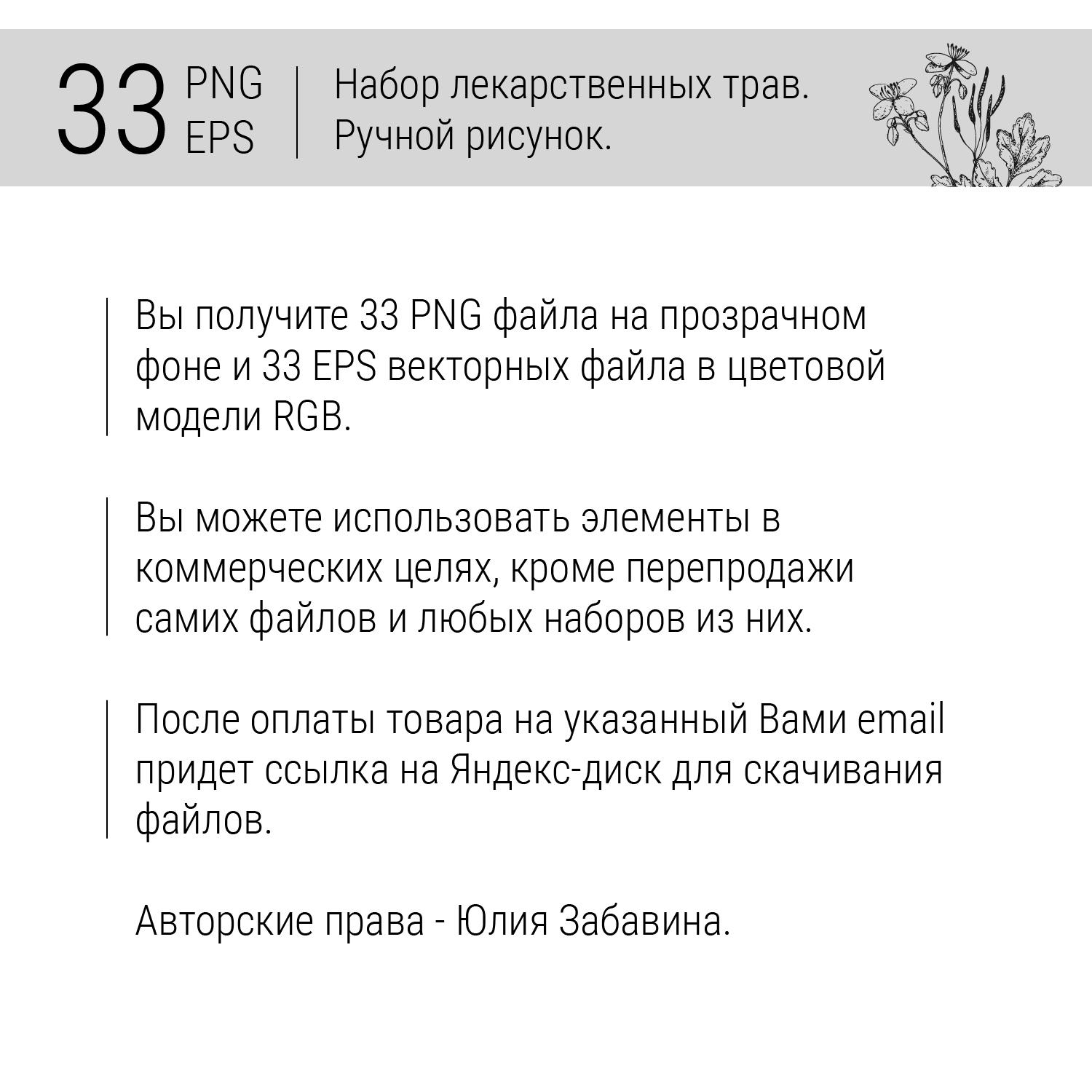 Набор лекарственных трав. PNG и EPS файлы