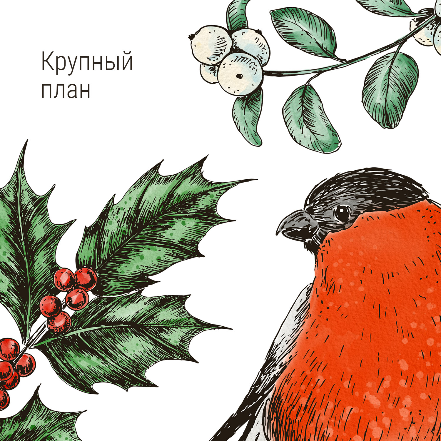 Новогодний набор. PNG файлы