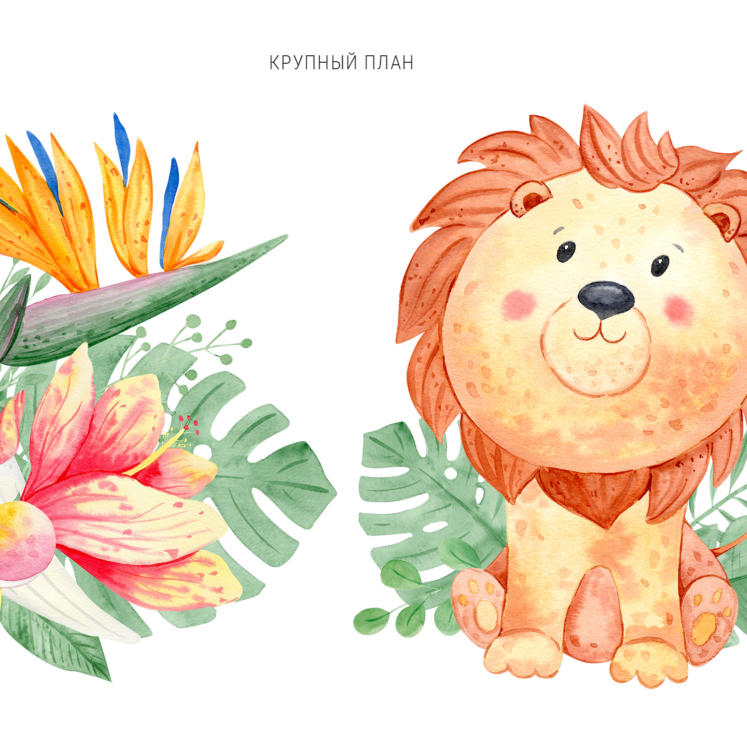 Африканские животные