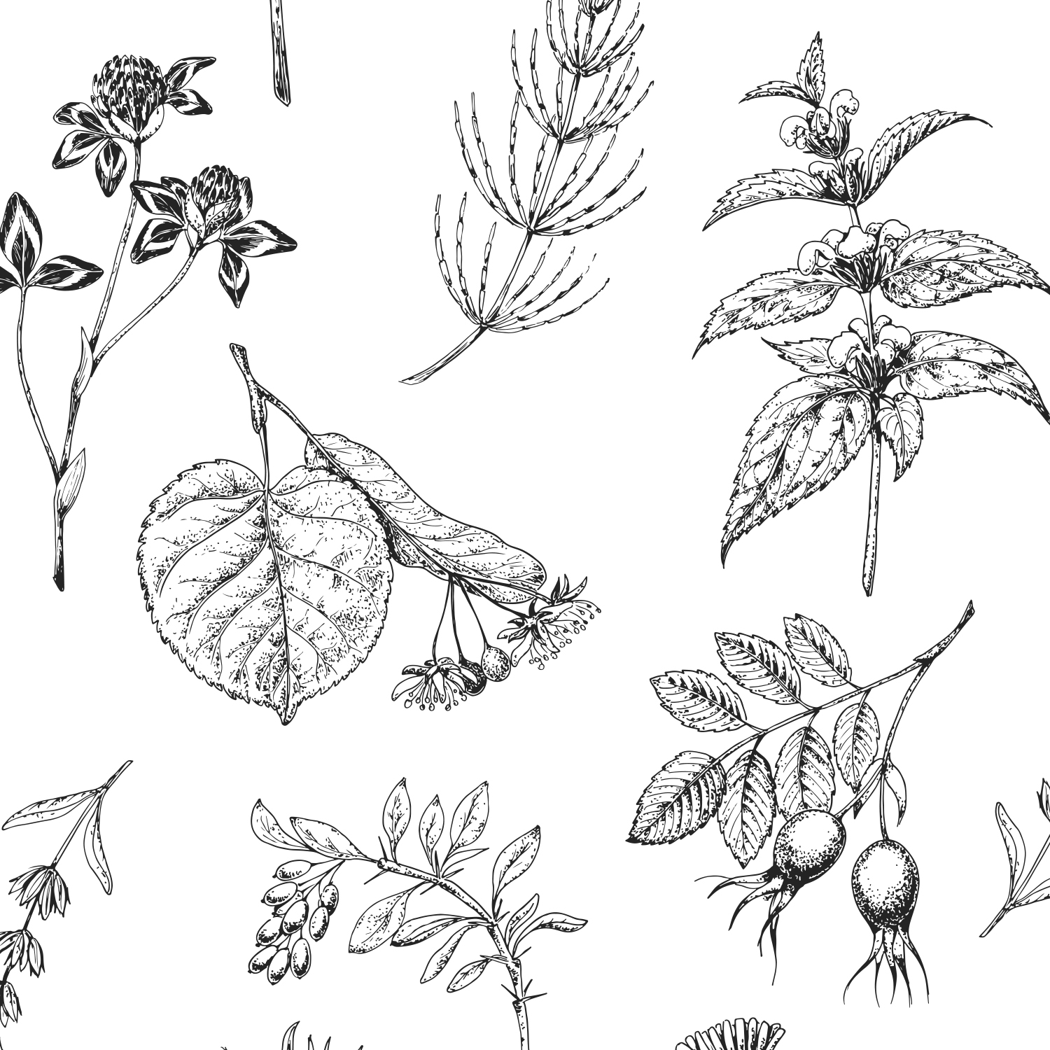 Бесшовные паттерны. Лекарственные травы.