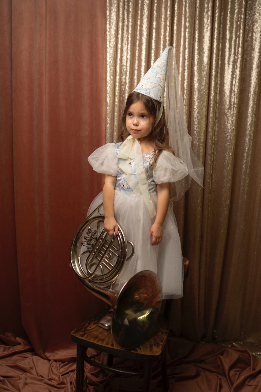 Коплачок «Лебеди»