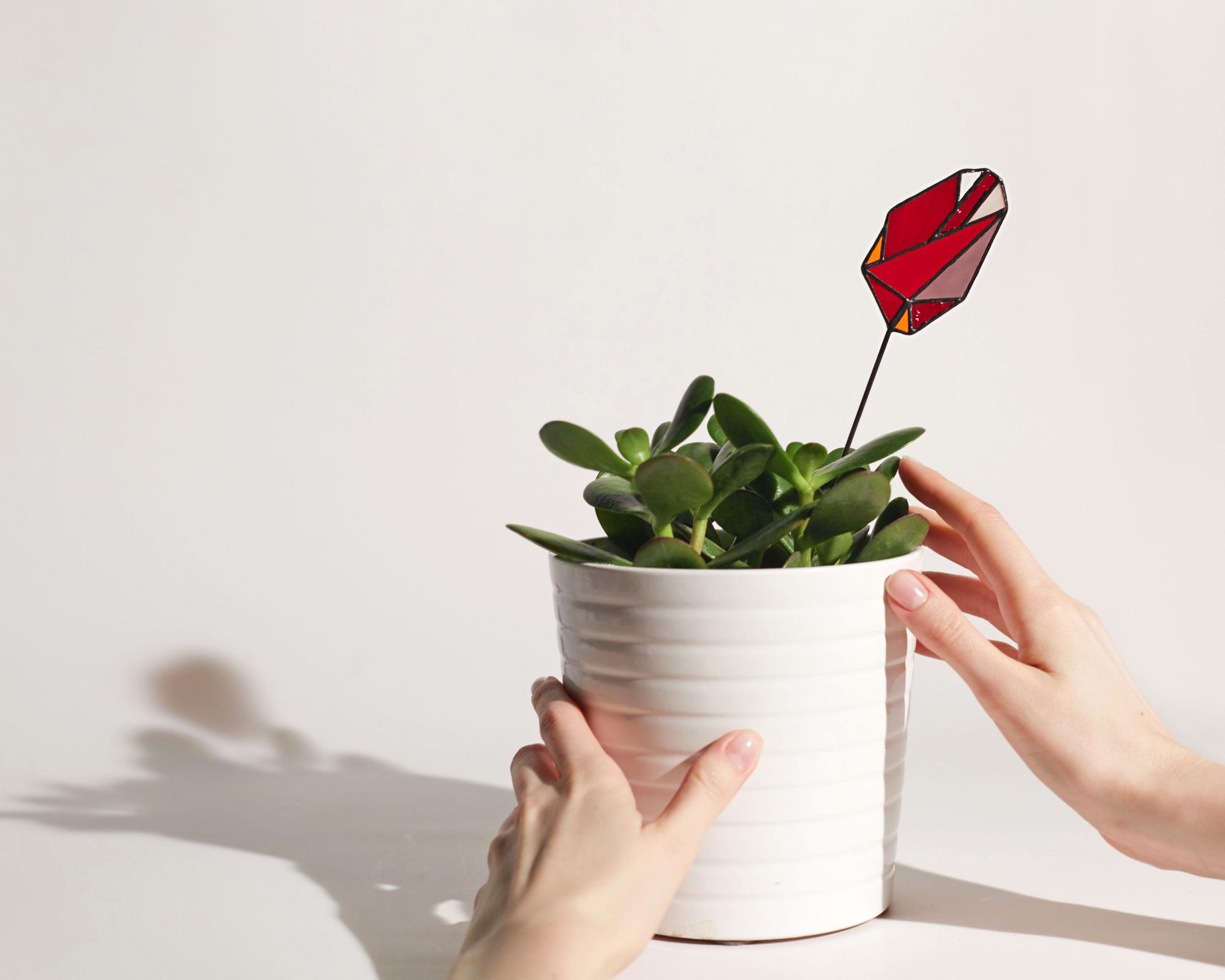 Спелая .Брусника