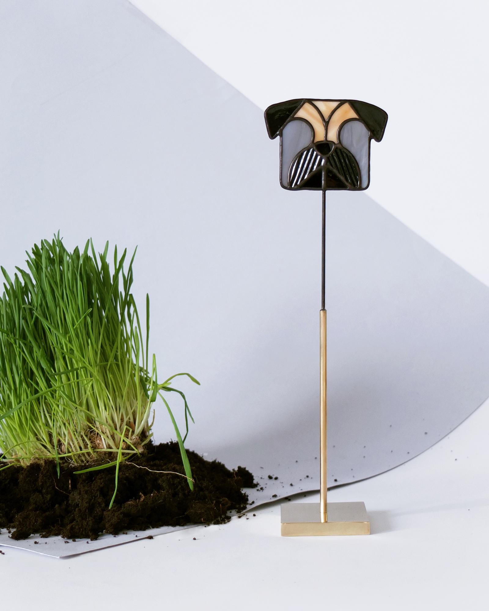 Дружочек. Мопс