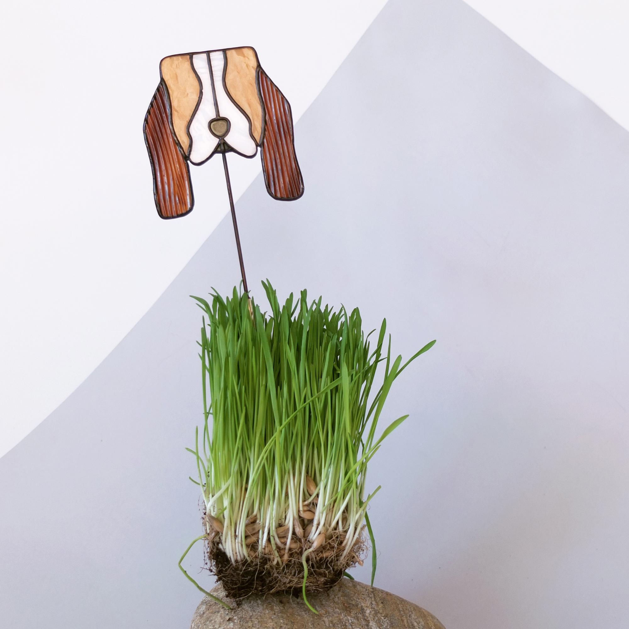 Дружочек. Бассет-Хаунд