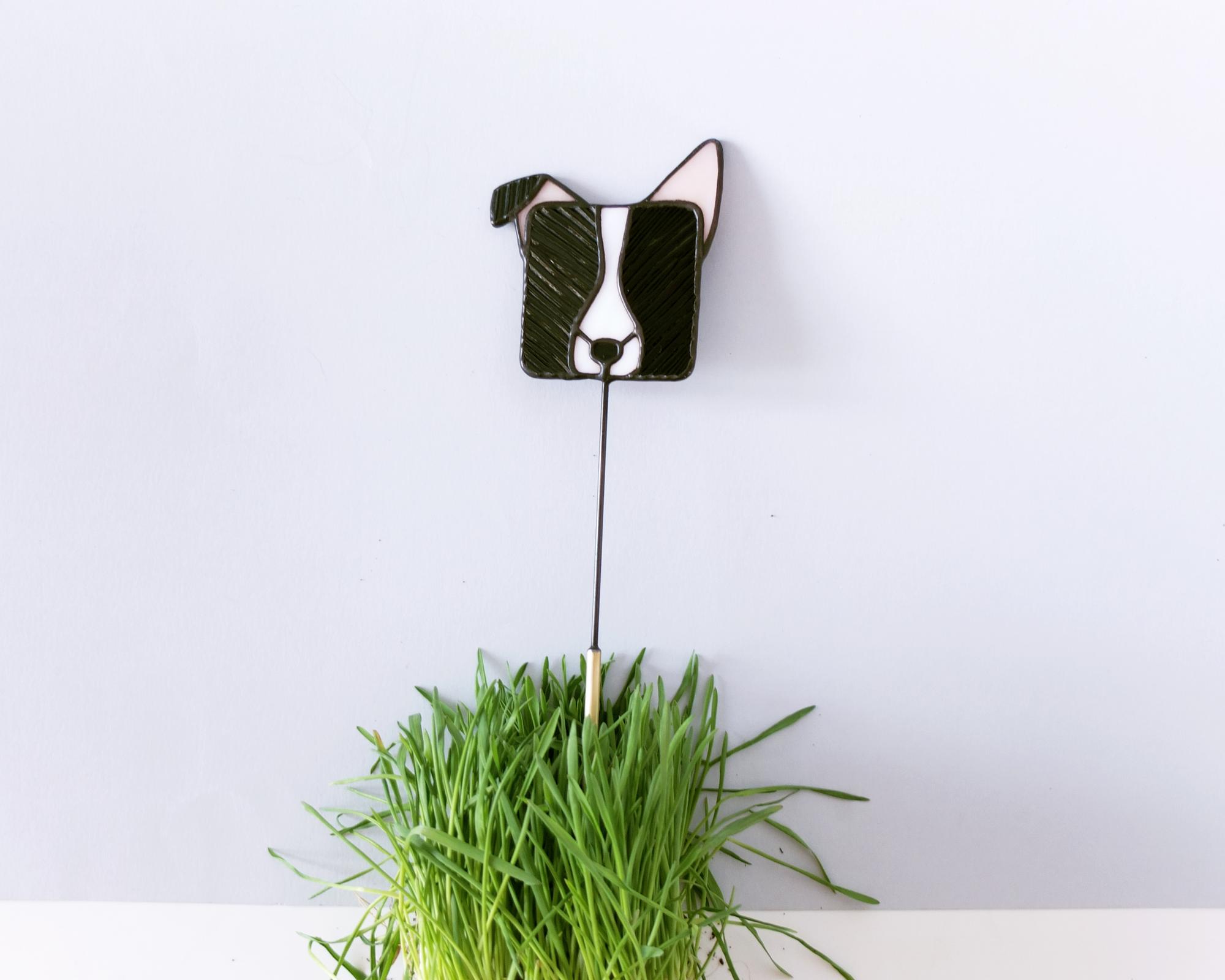 Дружочек. Киндер