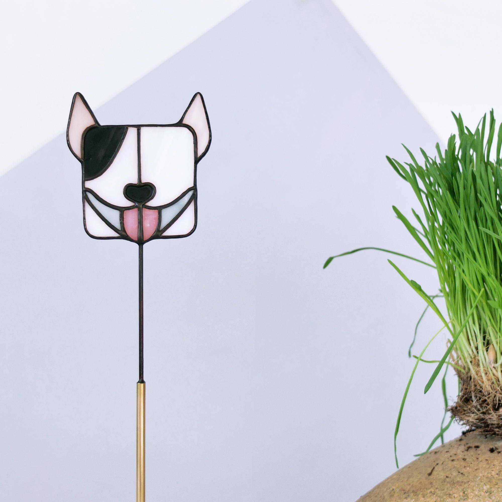 Дружочек. Бультерьер