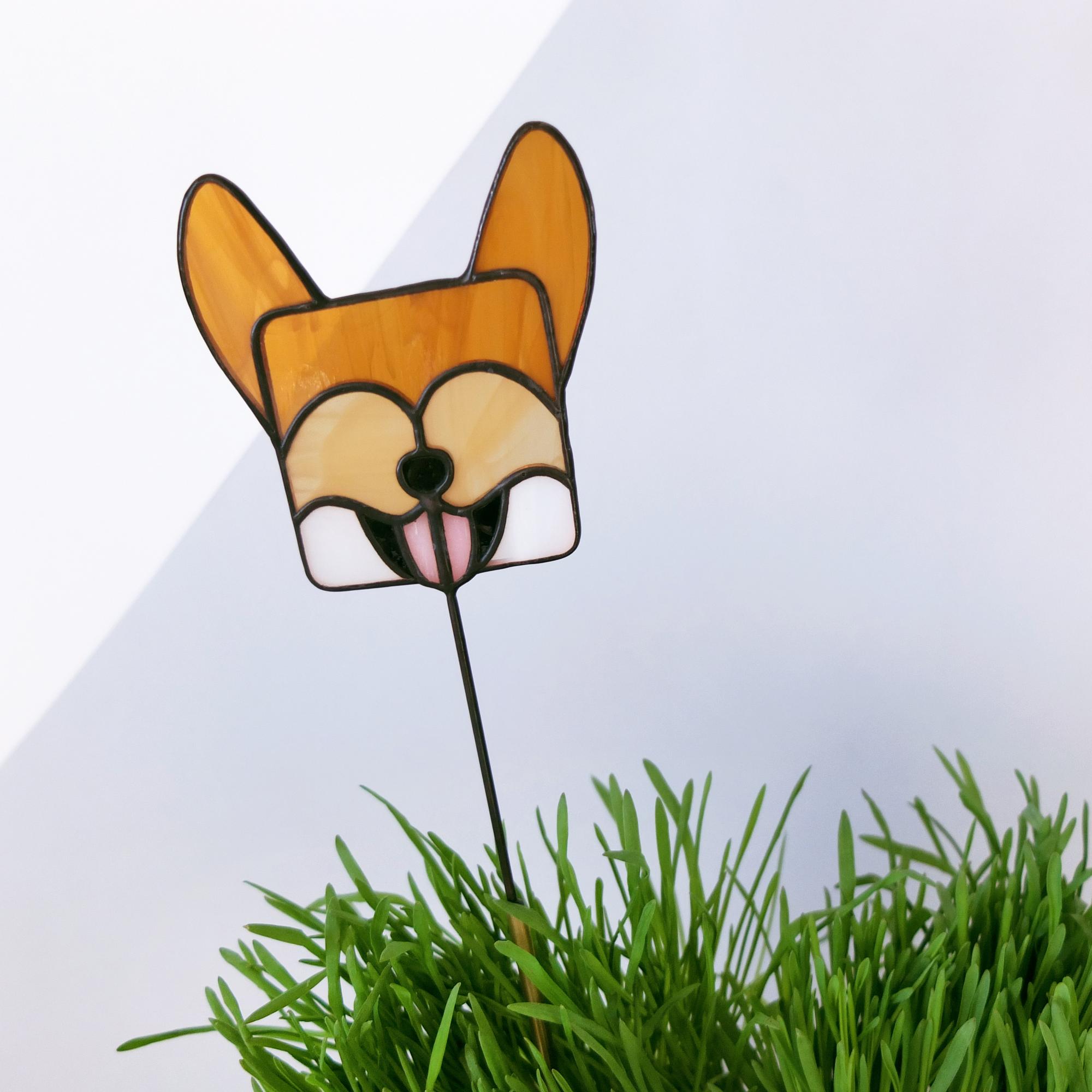 Дружочек. Корги