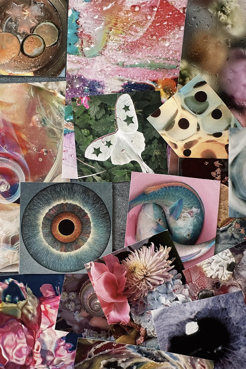 Наклейки «Павлин»