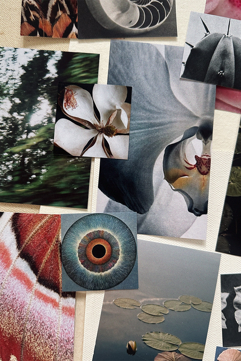 Набор «Natura»