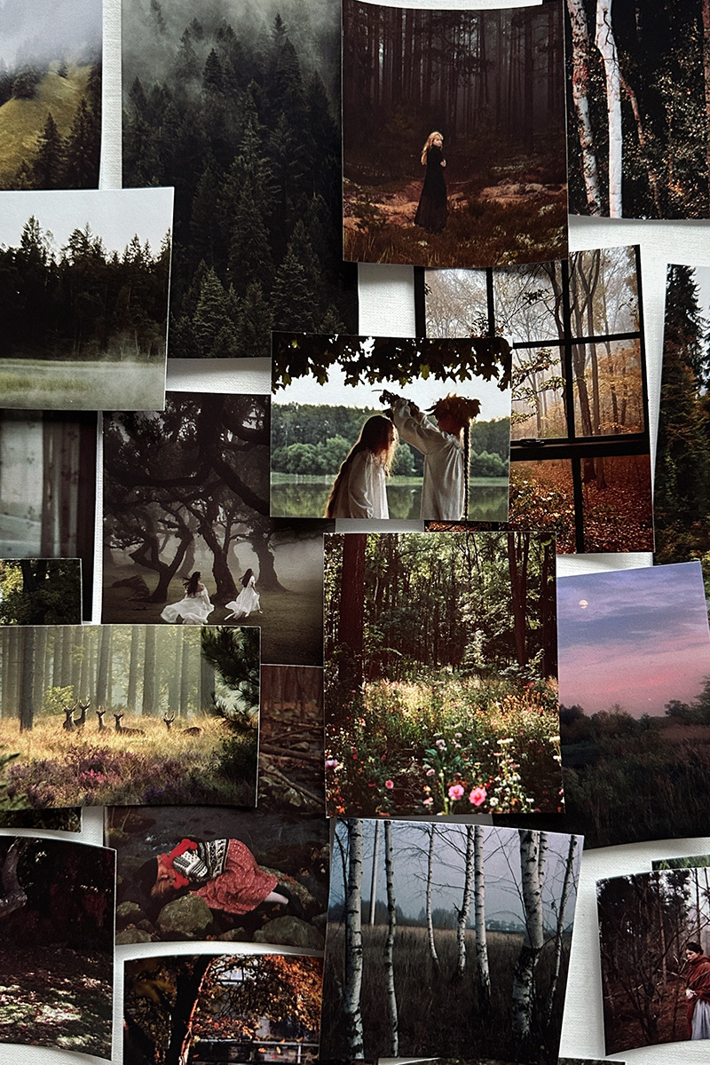 Наклейки «Лес»