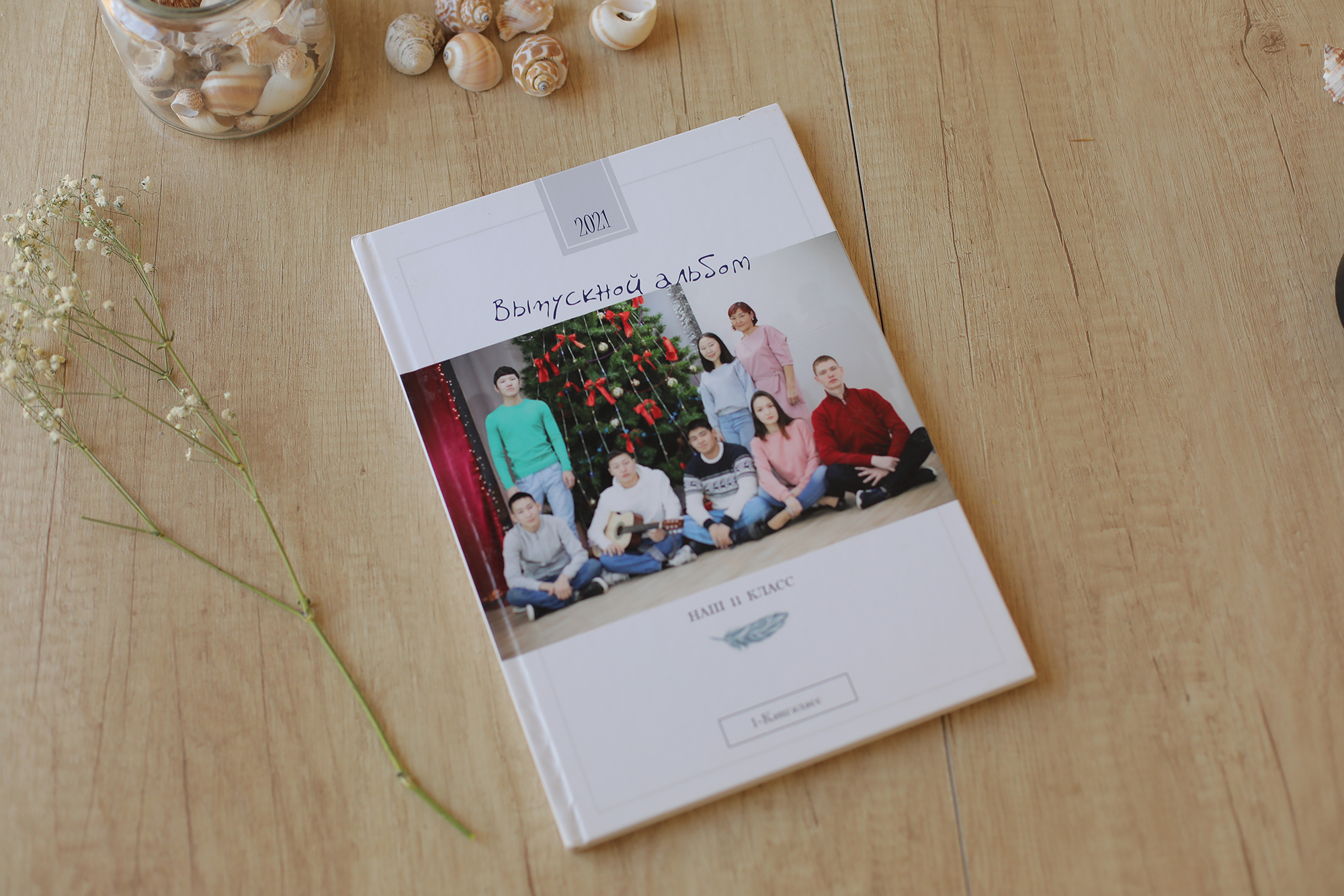 Эконом с видео альбом для 11 класса