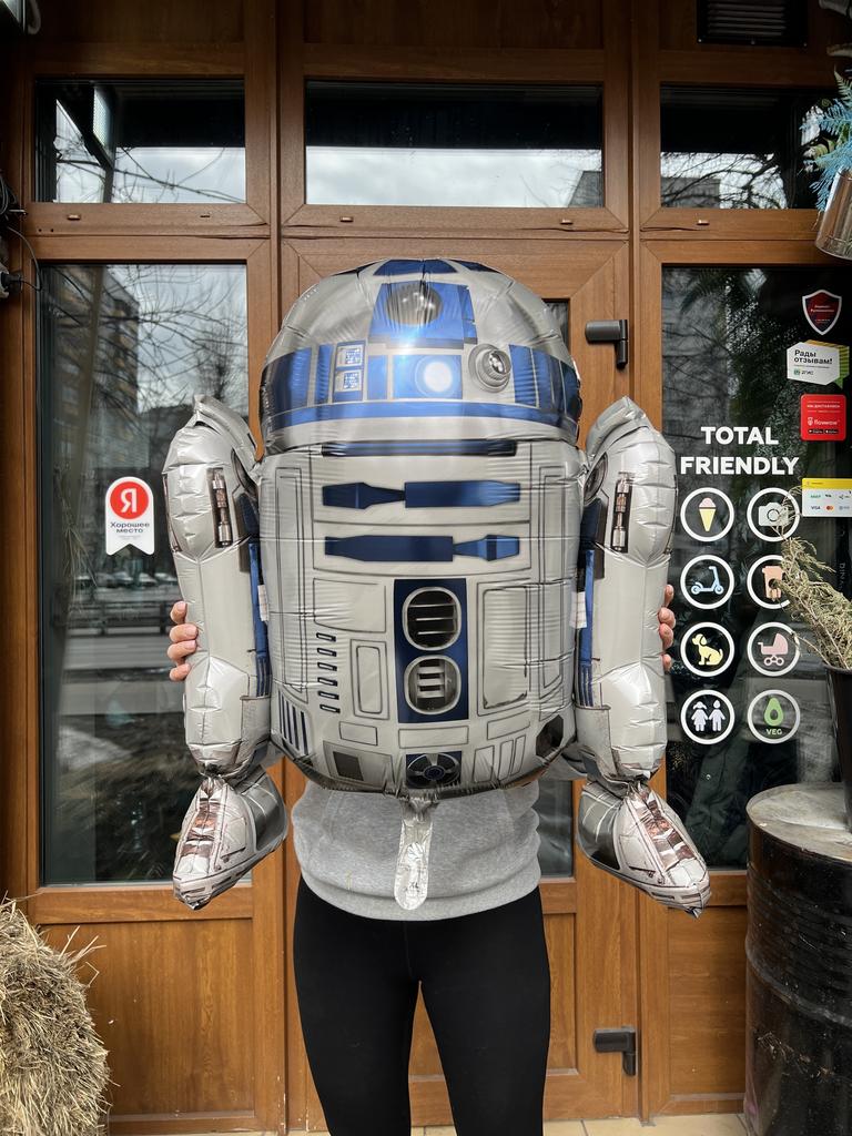 ВОЗДУШНЫЙ ШАР "R2D2"