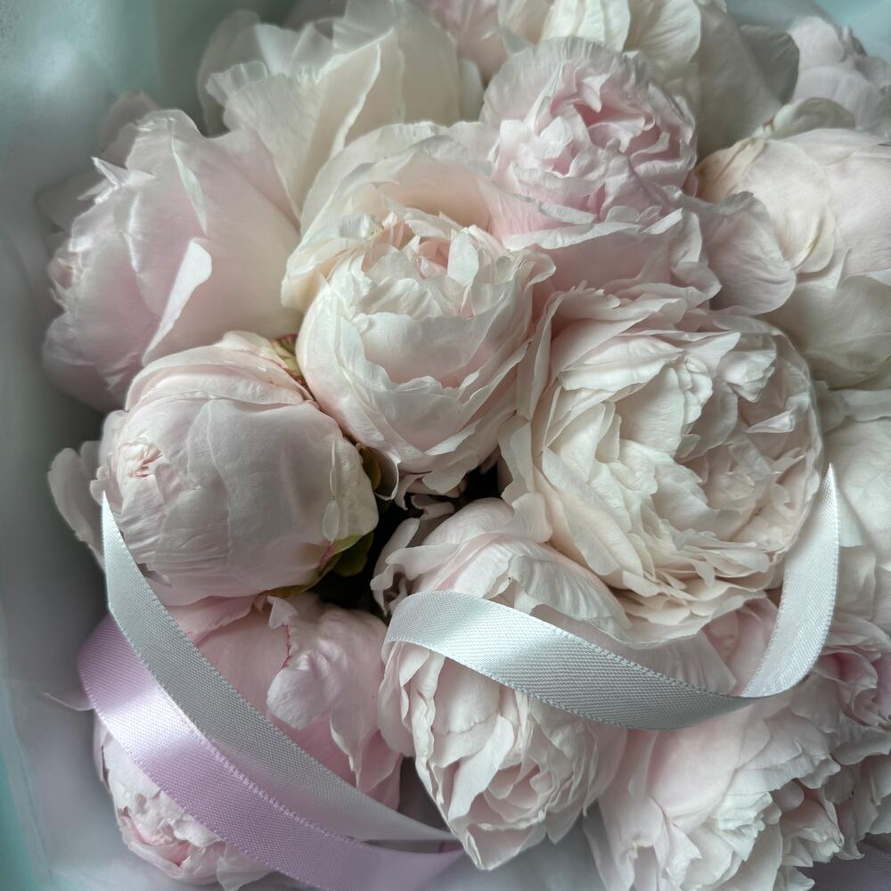 МОНОБУКЕТ ПИОНОВ