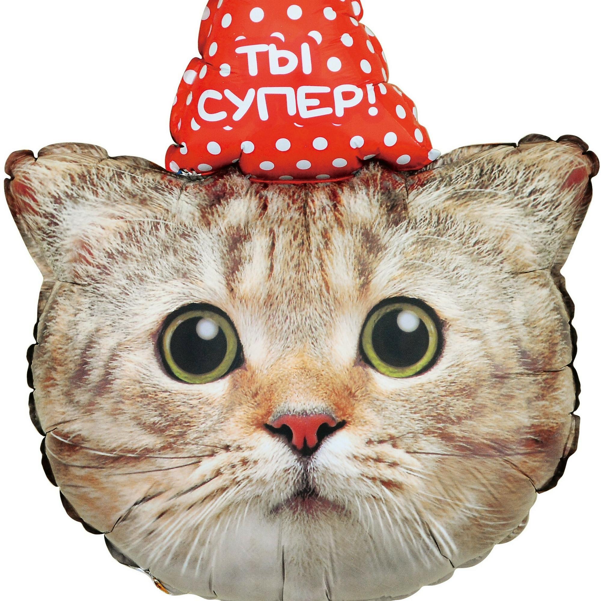 ШАР-ФИГУРА "КОТЕНОК В КОЛПАЧКЕ"