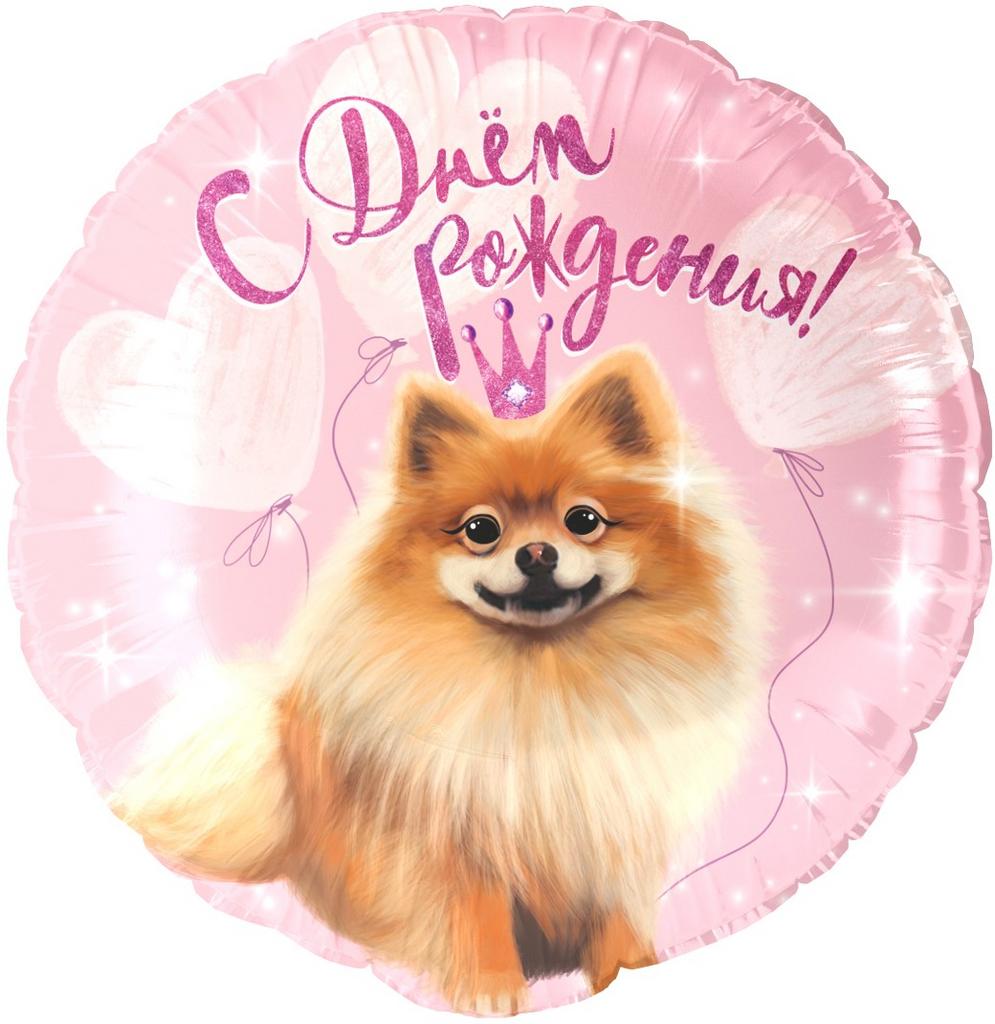 ШАР-КРУГ ШПИЦ "С ДНЕМ РОЖДЕНИЯ"