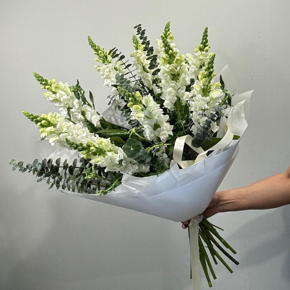 МОНОБУКЕТ АНТИРРИНУМА