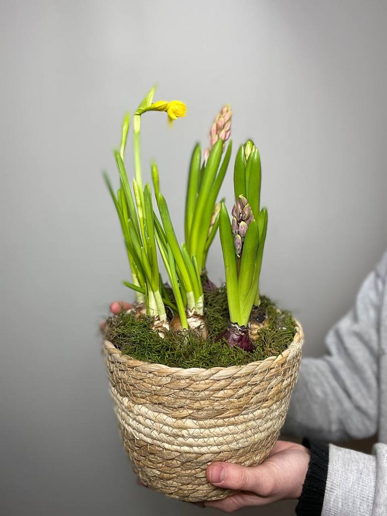 КОМПОЗИЦИЯ С ПЕРВОЦВЕТАМИ №1