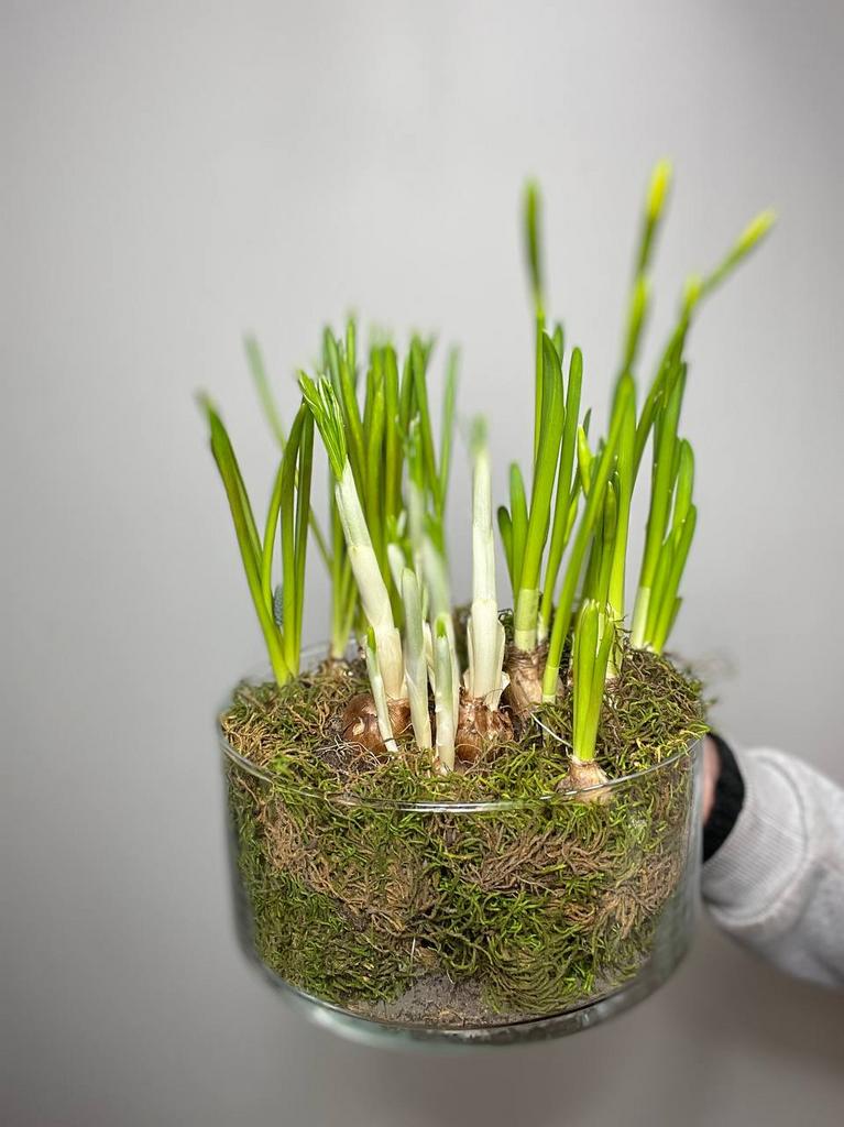 КОМПОЗИЦИЯ С ПЕРВОЦВЕТАМИ №3