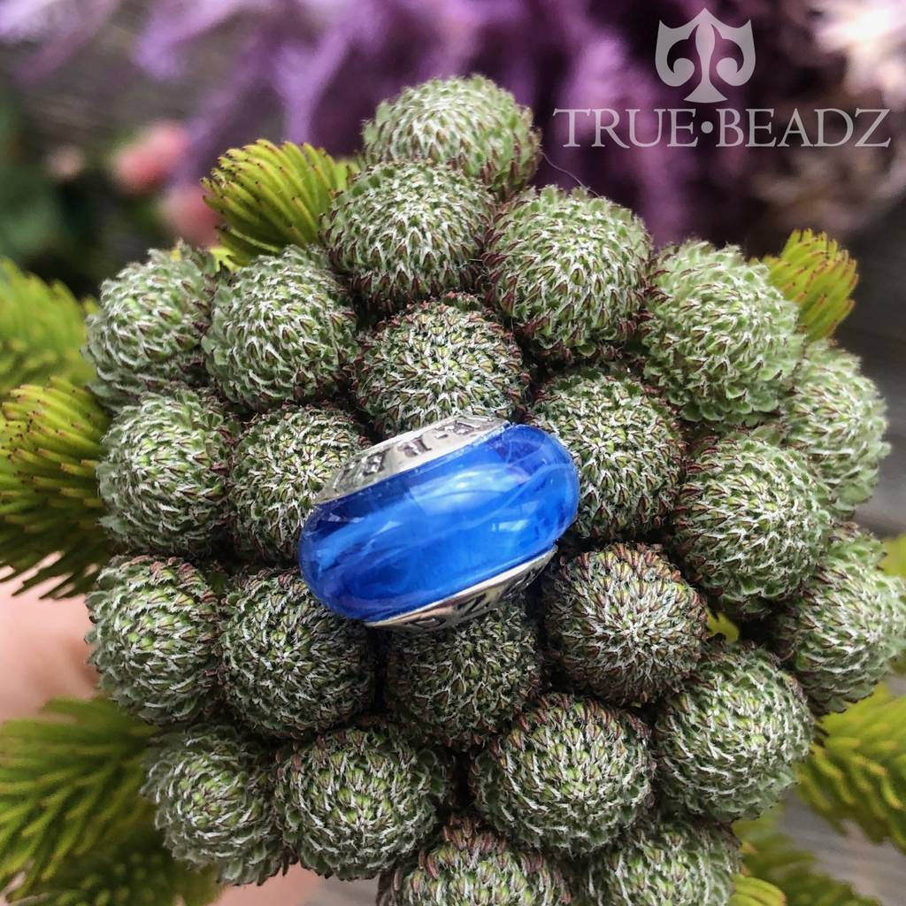 24938633 Март 2019