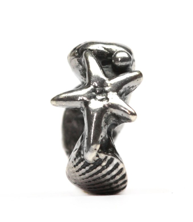 2790291 Ракушки со звездой