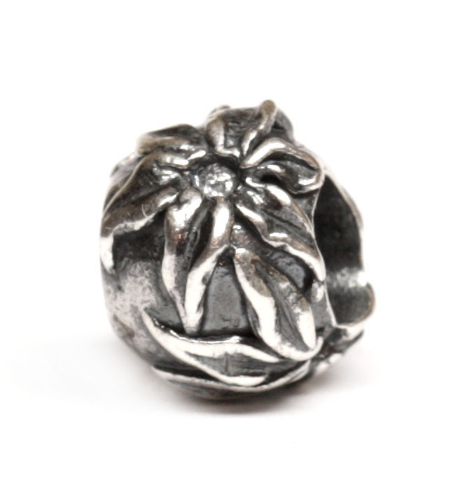 475527 Пуансетия