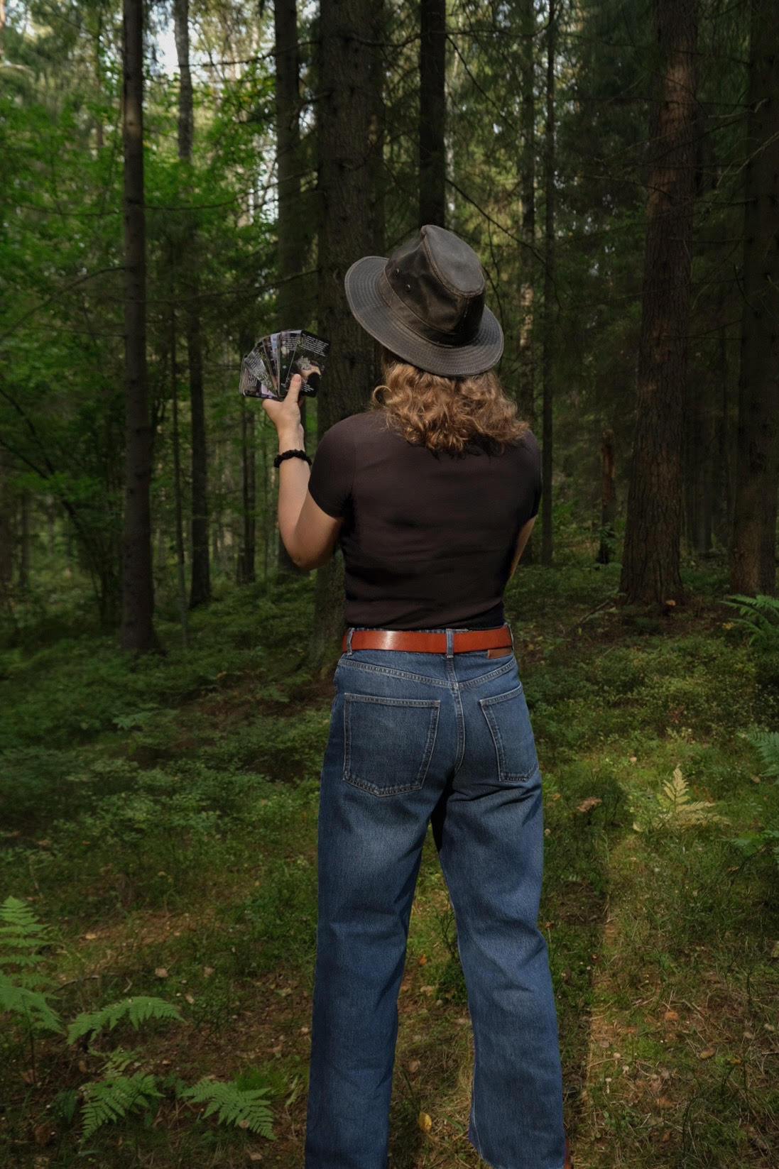 "Аптека Дальнелесья" фирменная колода ассоциативных карт и игровой путеводитель по лесу