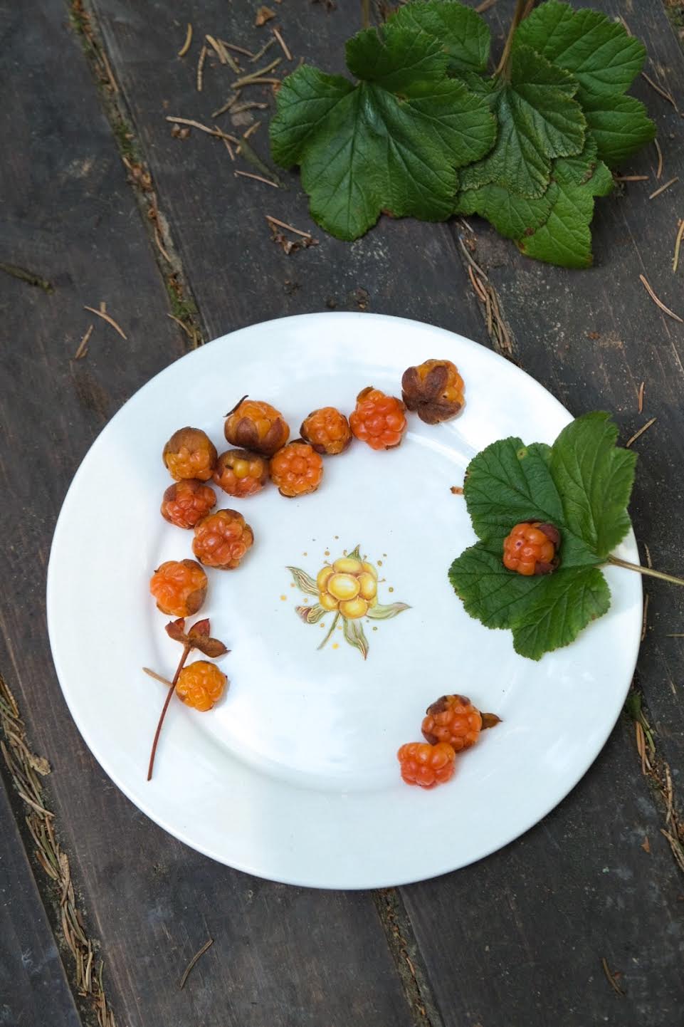 "Морошка" пирожковая тарелка, коллекция Nordic Forest, ручная роспись, золочение, обжиг