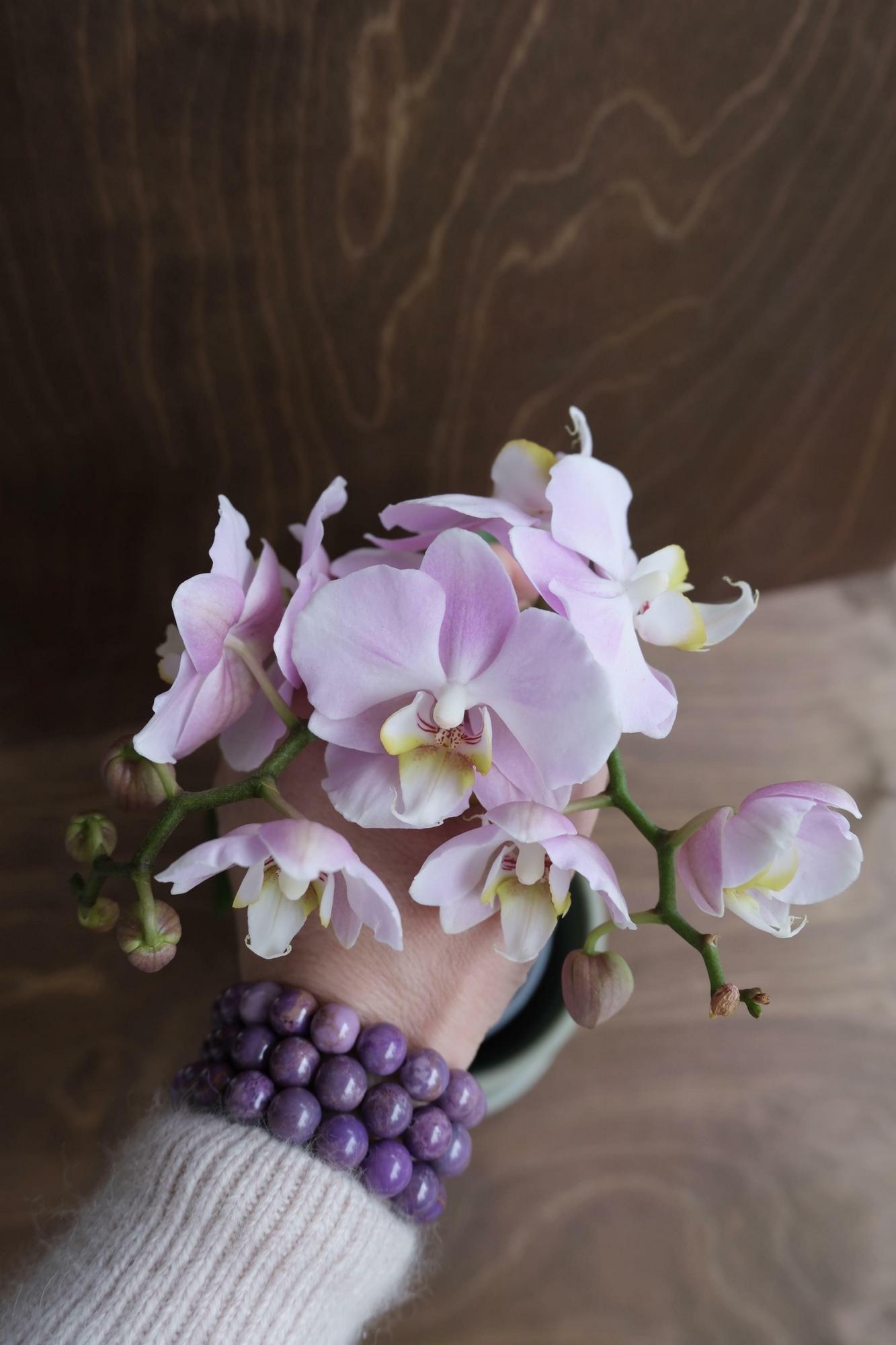 "Орхидея" женский браслет из фосфосидерита с заключением геммологической экспертизы