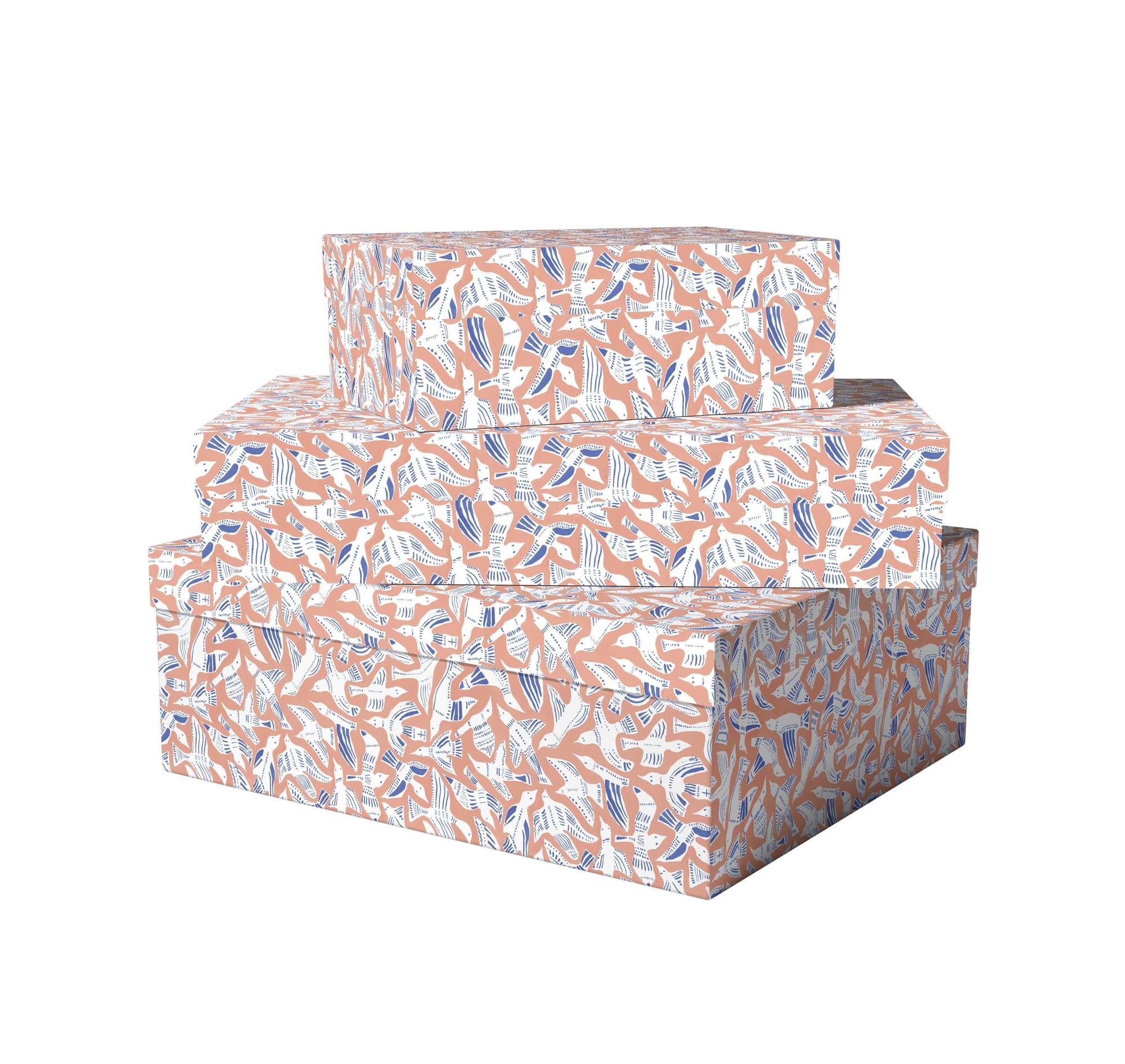 Коробка Чайки