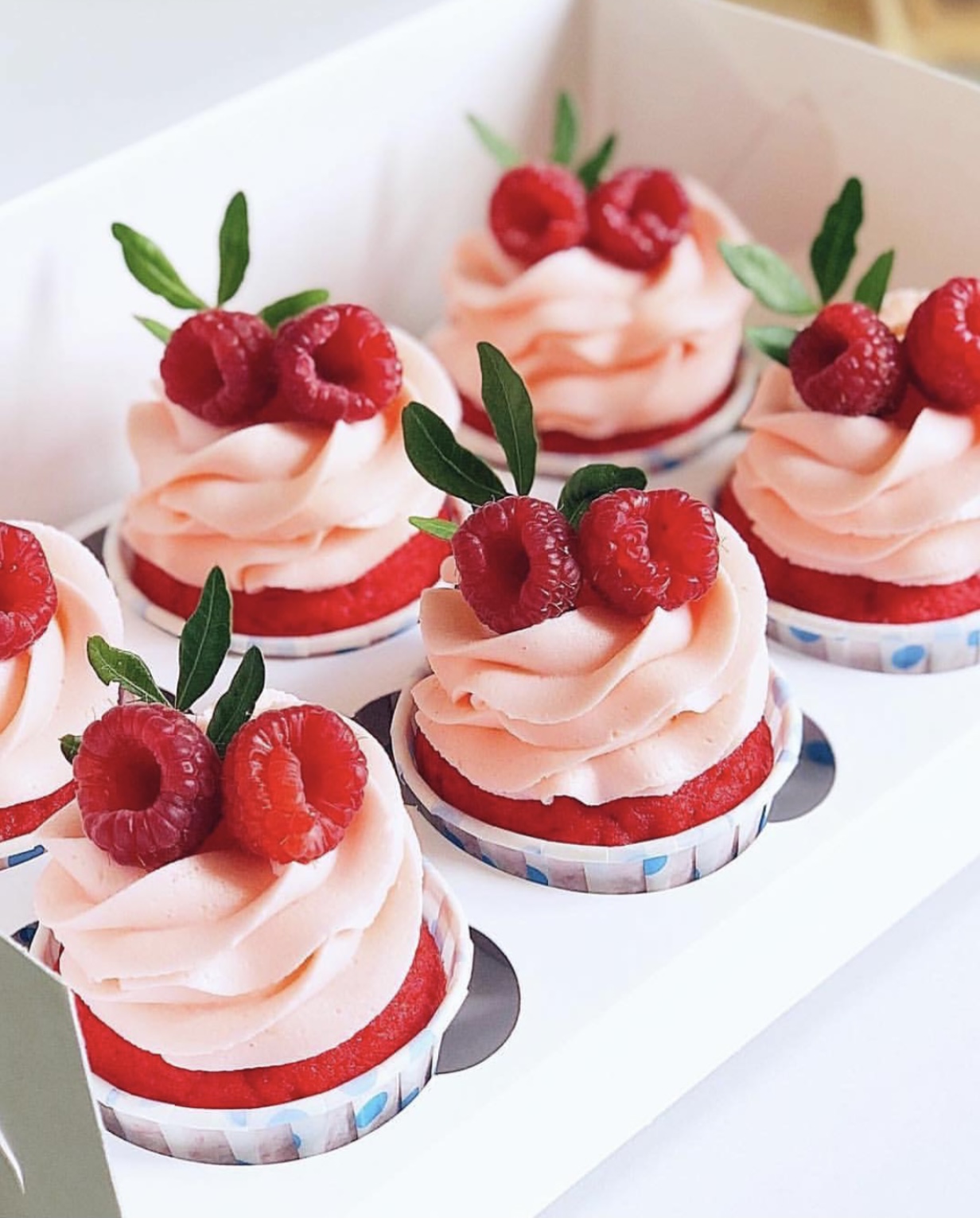 Курс конструктор «КАПКЕЙКИ»