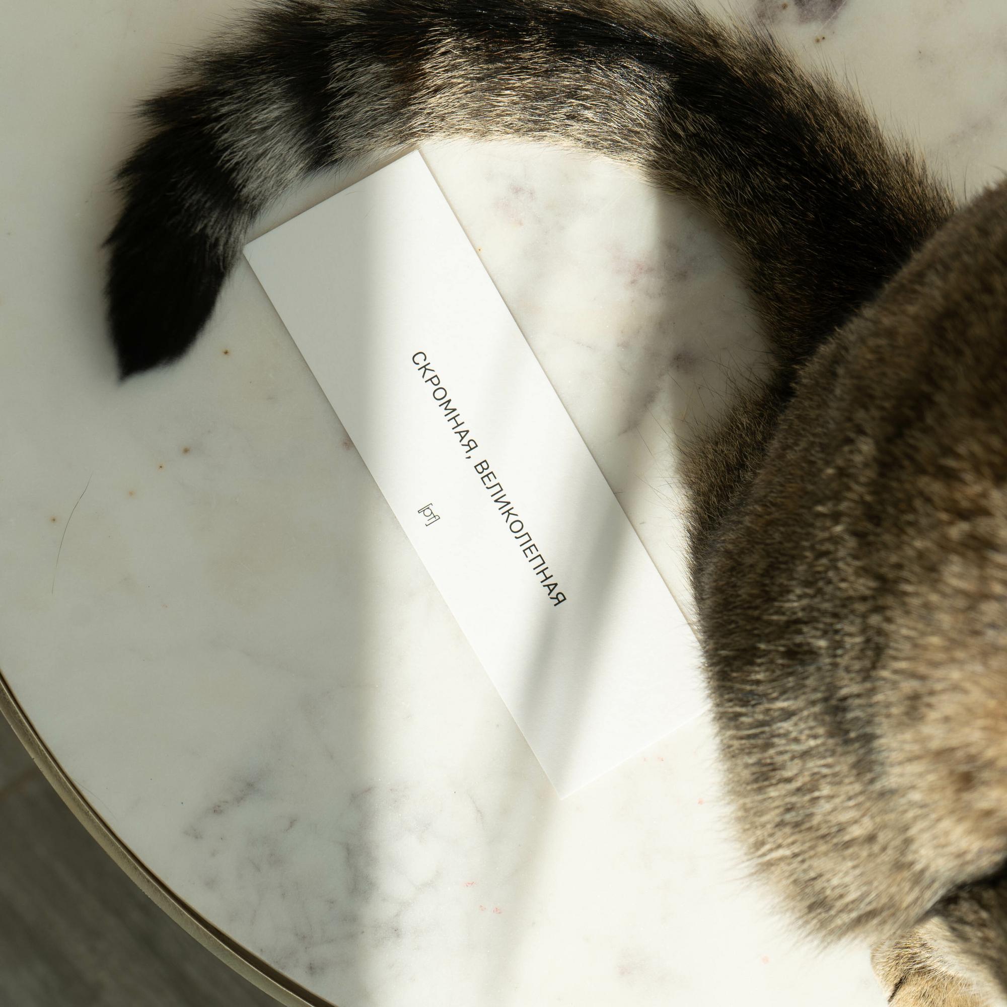 Открытка  "Скромная, великолепная"