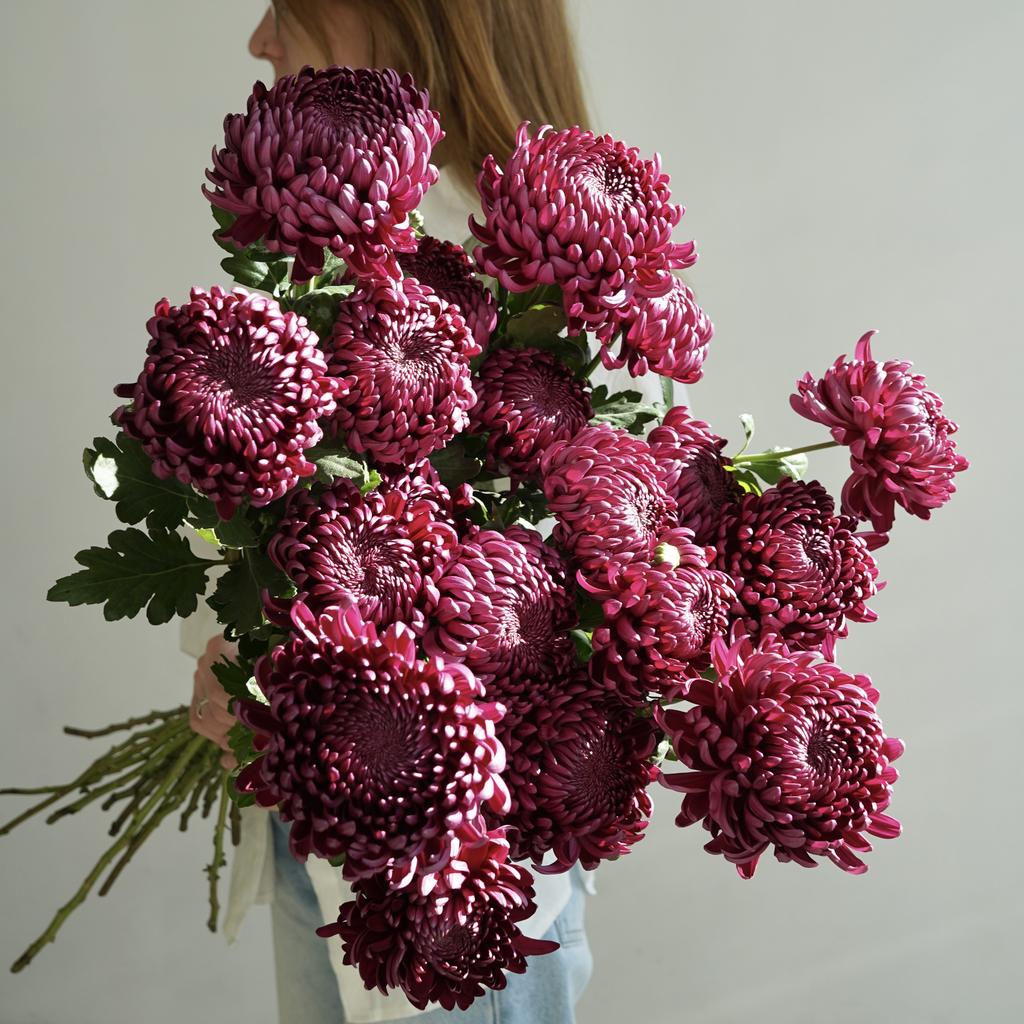 Монобукет из фиолетовых хризантем Бигуди