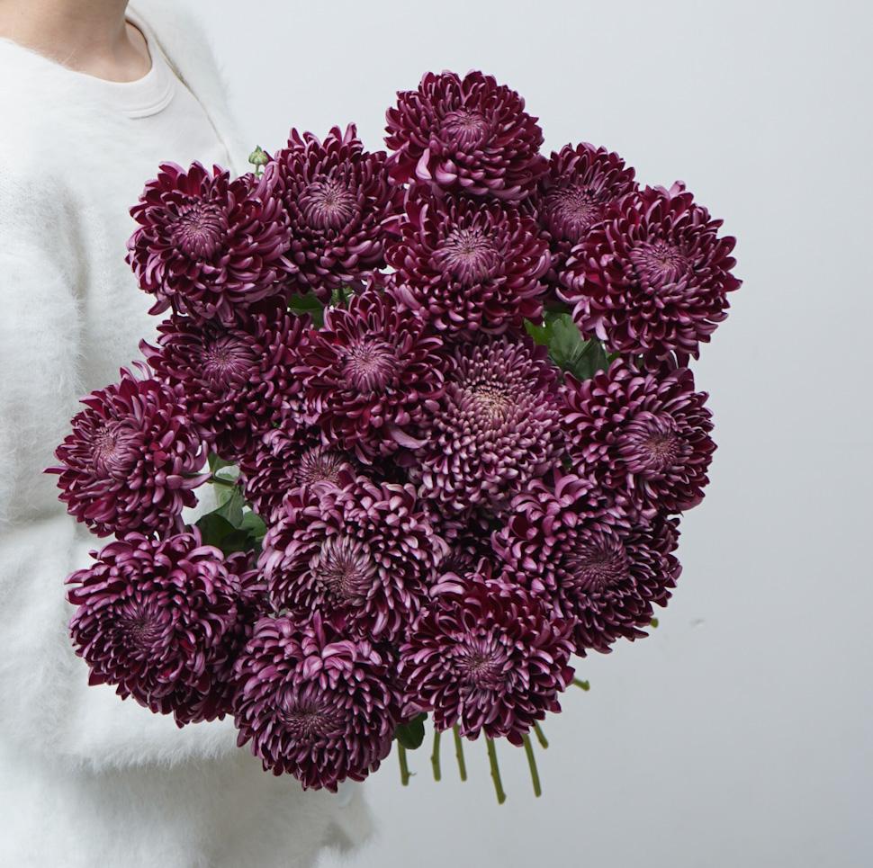 Монобукет из фиолетовых хризантем Бигуди