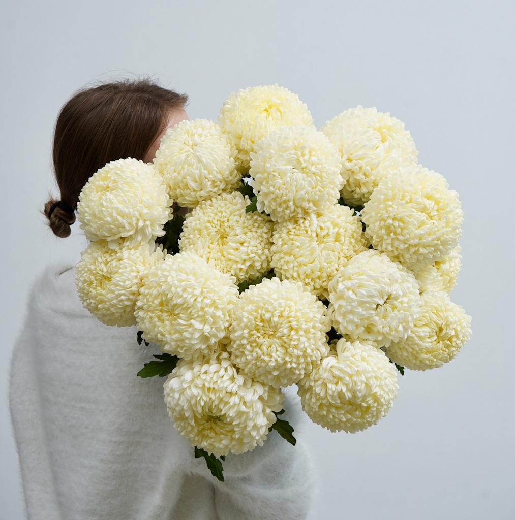 Монобукет из лимонных хризантем Фред