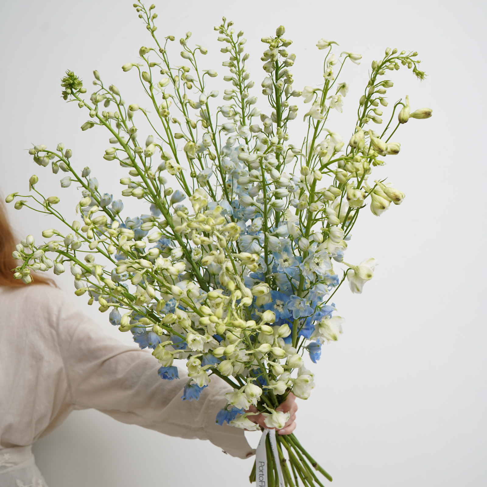 Монобукет из дельфиниума [голубой+белый]