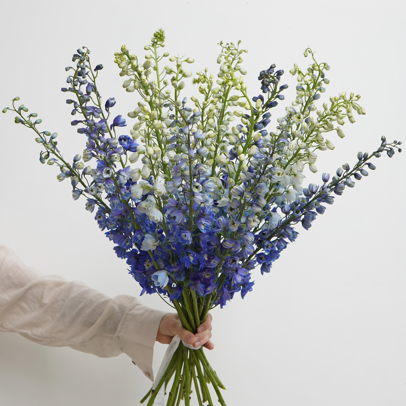 Монобукет из дельфиниума [голубой+синий]