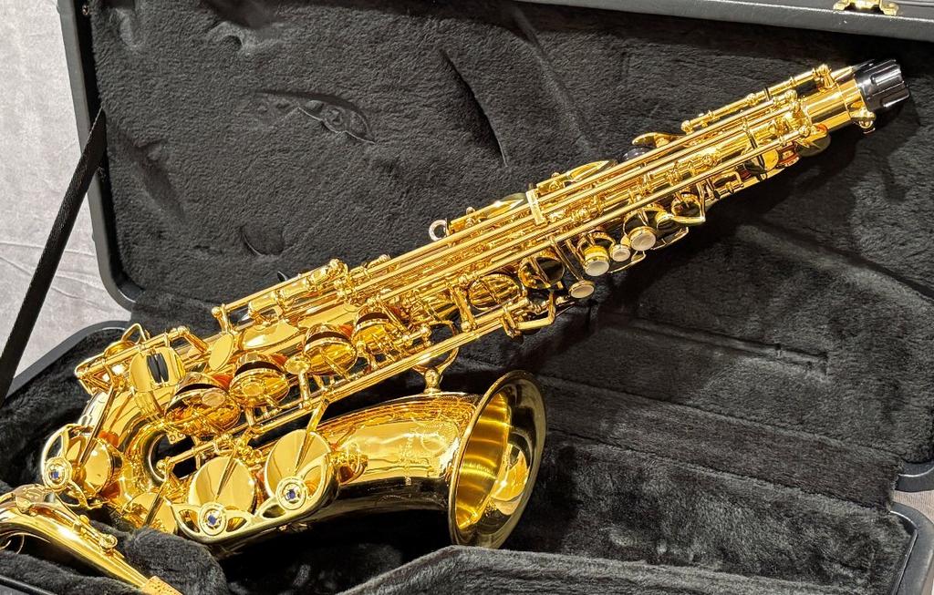 Саксофон альт YANAGISAWA A-901 II