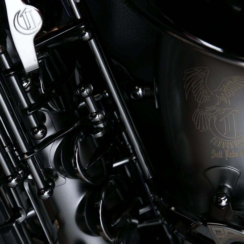 Саксофон альт CannonBall Raven