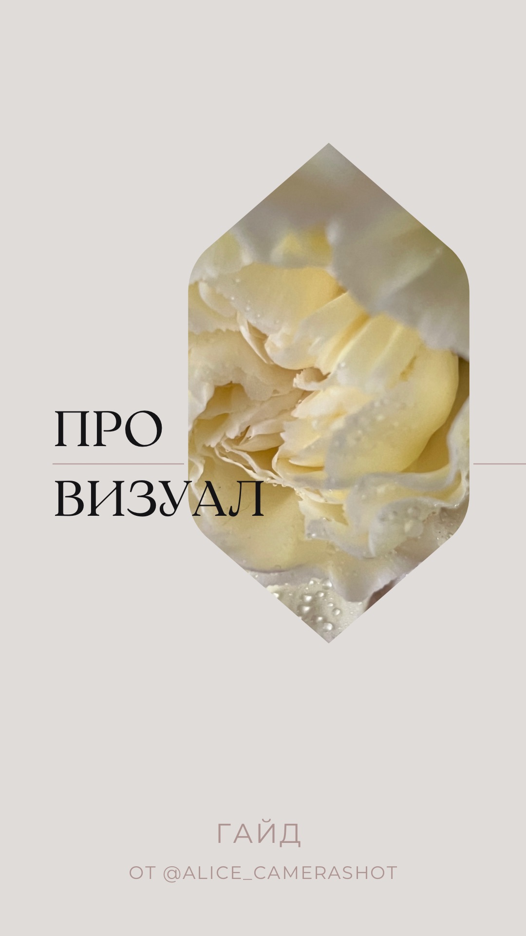 Гайд «ПРО ВИЗУАЛ»