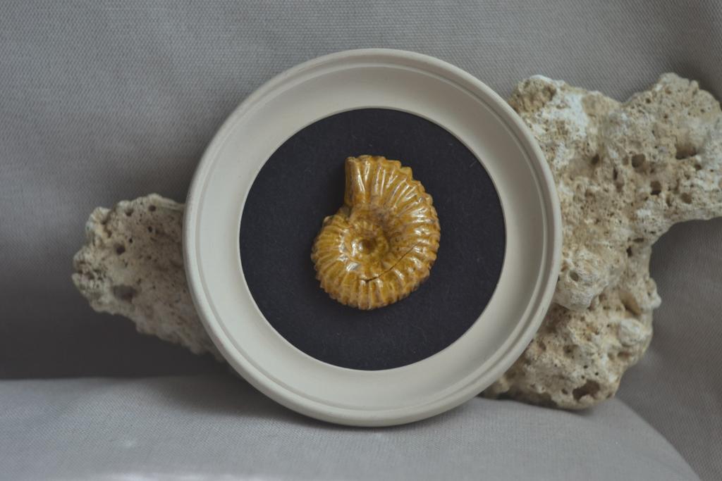 Панно на стену среднее "Аммонит"