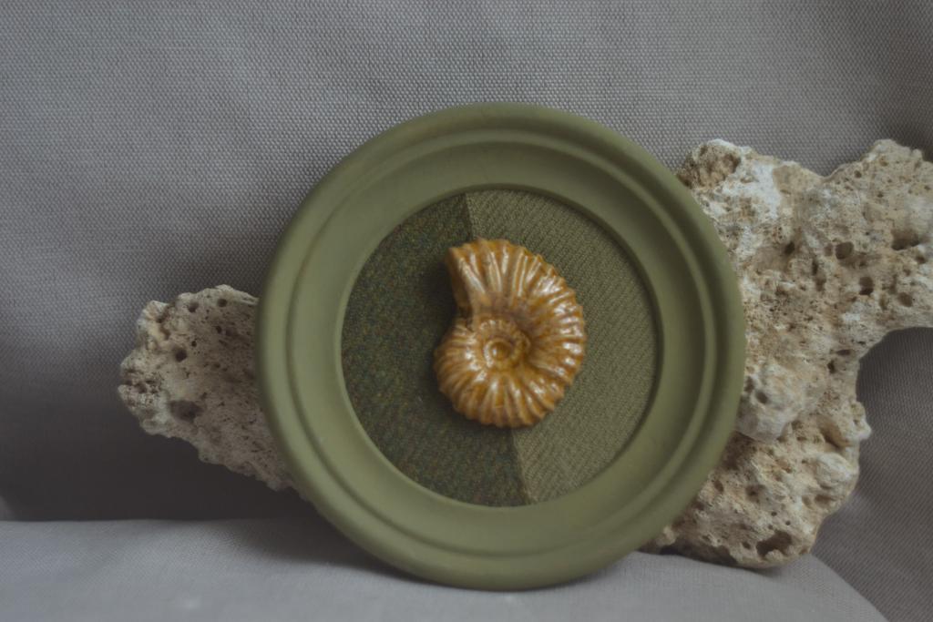 Панно на стену среднее "Аммонит"