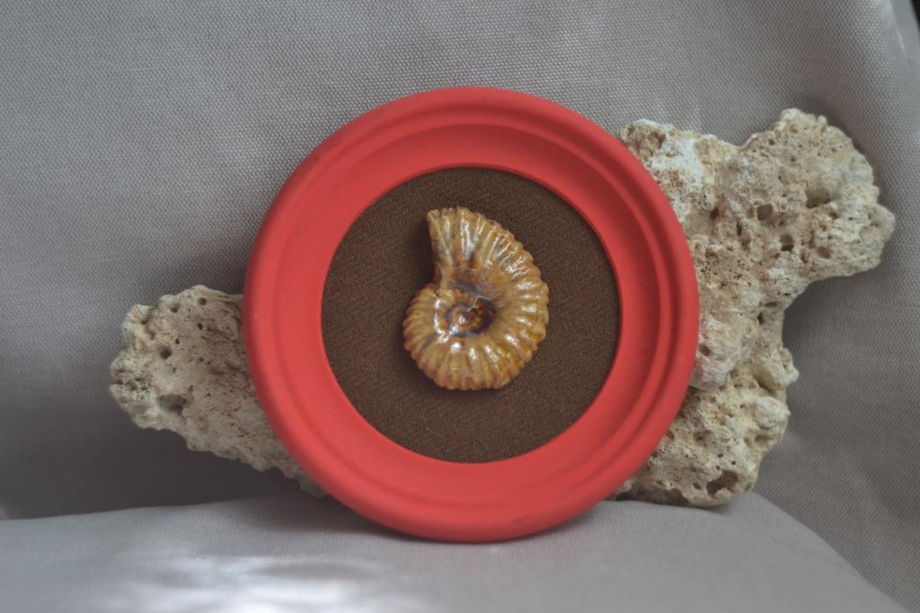 Панно на стену среднее "Аммонит"